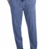 Hanes X-Temp Jersey Knit Lounge Pants 3 Colors L, XL, 2X, 3X -Big&Tall Outlet Hanespantdenim 77271.1643143013