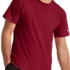 Champion Classic Cranberry No Pocket Tee Shirt XLT, 2X, 3X -Big&Tall Outlet cranberrynopocket 01976.1707856152