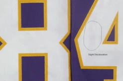 Mitchell & Ness Minnesota Vikings Randy Moss Legacy Replica Jersey, 2XT, 3XT, 5X, 6X -Big&Tall Outlet discolortion 69185.1731530544