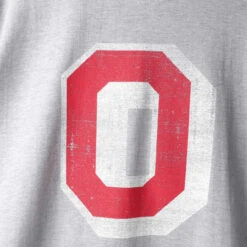 Profile Ohio State Vintage Logo Heather Gray Tee 2X -Big&Tall Outlet ohiostatebigoheathercloseup 79479.1568130246