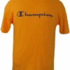 Champion Classic Script Logo Lightweight Yellow Short Sleeve Tee 1X, 2X -Big&Tall Outlet yellowsstee 07586.1707932940